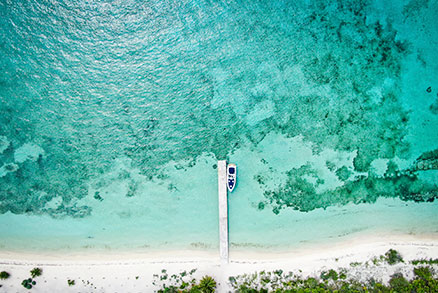 Activités à l'île paradisiaque de Cozumel | Dolphin Discovery