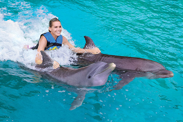 Nager Avec Les Dauphins à Cancun Isla Mujeres Dolphin Discovery 